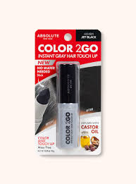 ABSOLUTE Color to Go Hair Stick (DISCONTINUED)